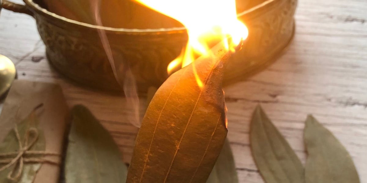 Ritual com folha de louro para manter seus caminhos abertos (Imagem Reprodução Internet)