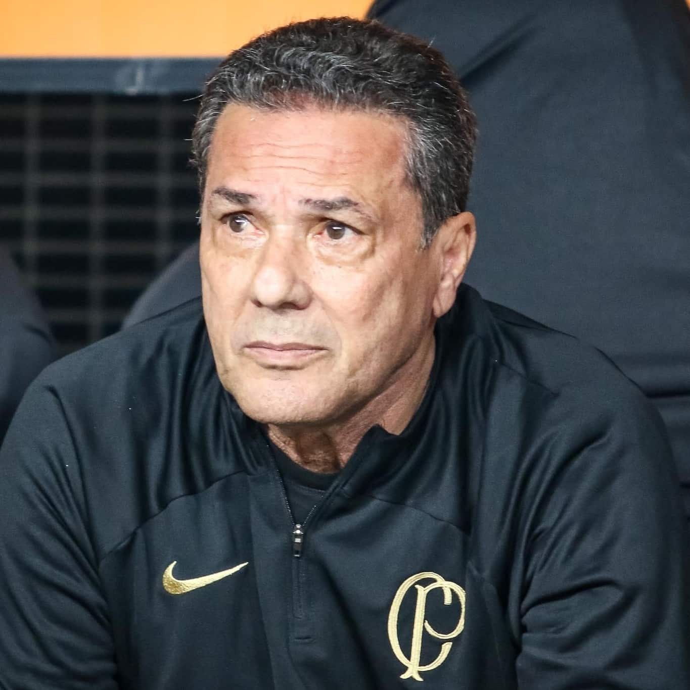 Vanderlei Luxemburgo (Foto: Reprodução/ Divulgação/ Corinthians)