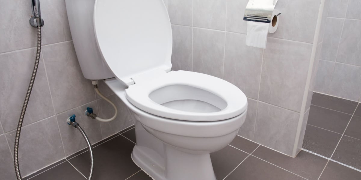 Objetos que são mais sujos que o vaso sanitário (Imagem Reprodução Internet)