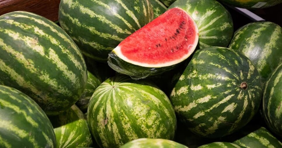 Dentre tantas melancias, escolha a madura e doce com essas dicas (Foto: Reprodução/ FreePik)