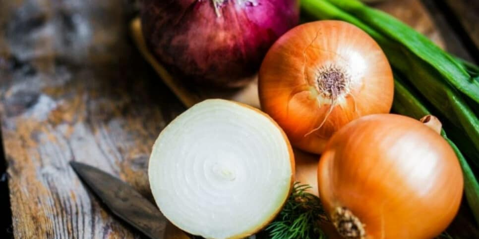 Cebola nas plantas? Veja como essa mistura pode fazer ajudar (Foto: Reprodução/Internet)