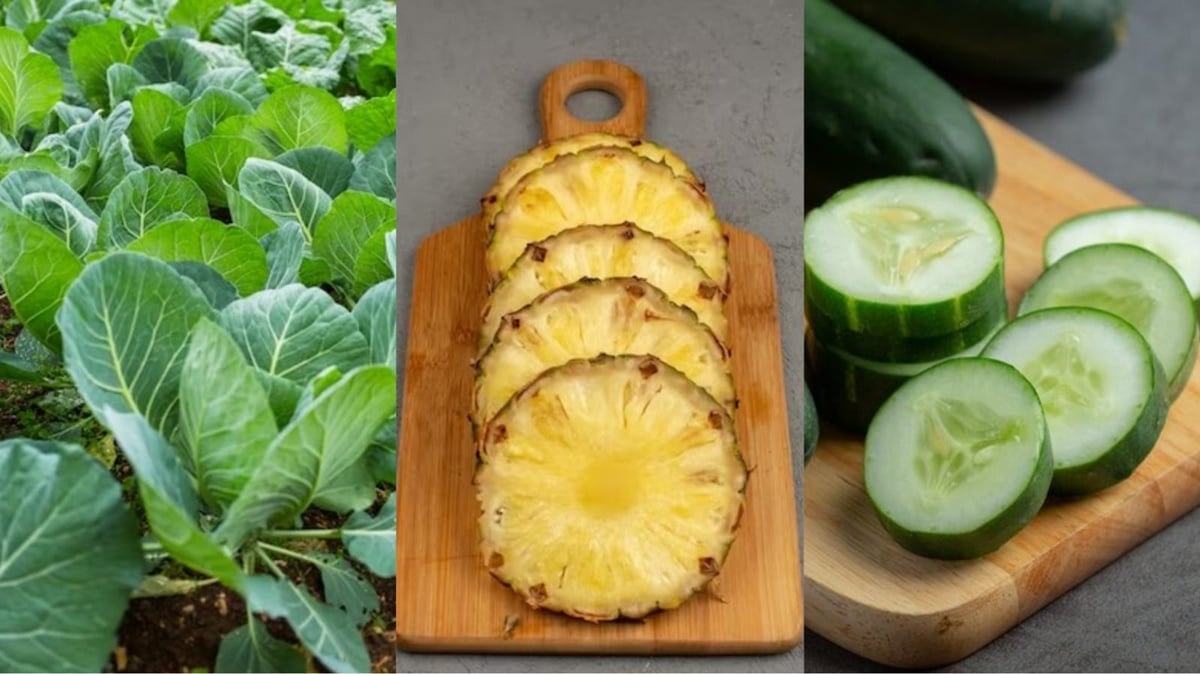 Folhas de Couve, fatis de abacaxi e pepino ajudam a perda de peso e diminui inchaço da barriga em receita (Fotos: Reprodução/ Montagem Gustavo/ FreePik)