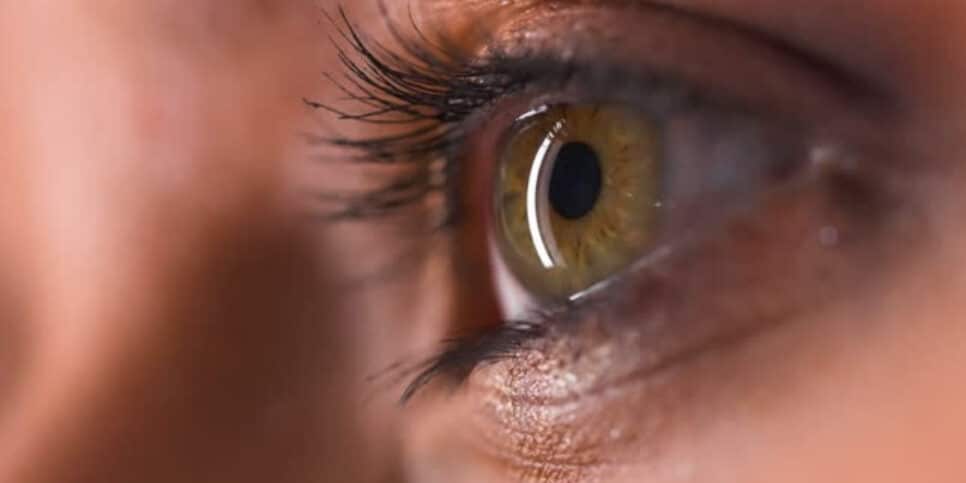 Argan Crescimento Avelã óleos Cílios volumosos? Tenha um olhar matador com essas 4 dicas (Foto: iStock/borealisgallery)