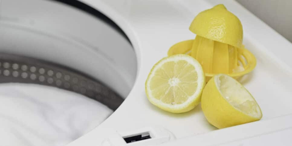 Roupas mais brancas? Use o limão e acabe com as manchas (Foto: Divulgação)