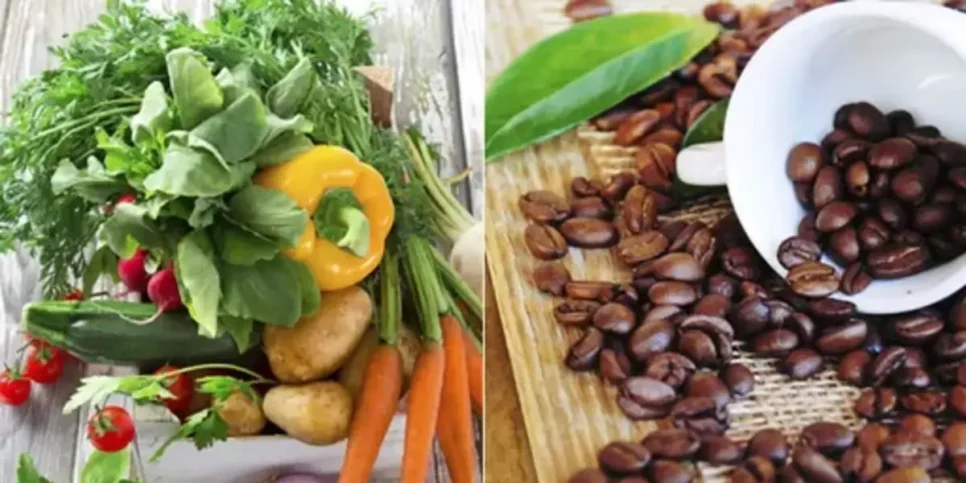 Alimentos que aceleram o metabolismo (Imagem: Montagem)