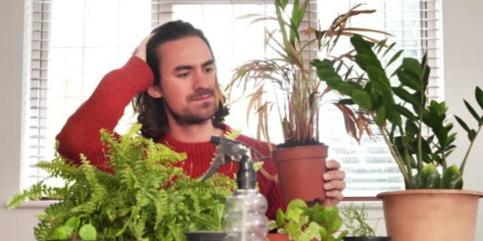 Veja como ajudar as suas plantas com esse adubo especial (Foto: iStock)