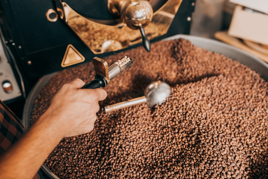 Descubra os benefícios do café moído para a saúde das suas plantas (Foto: Divulgação)