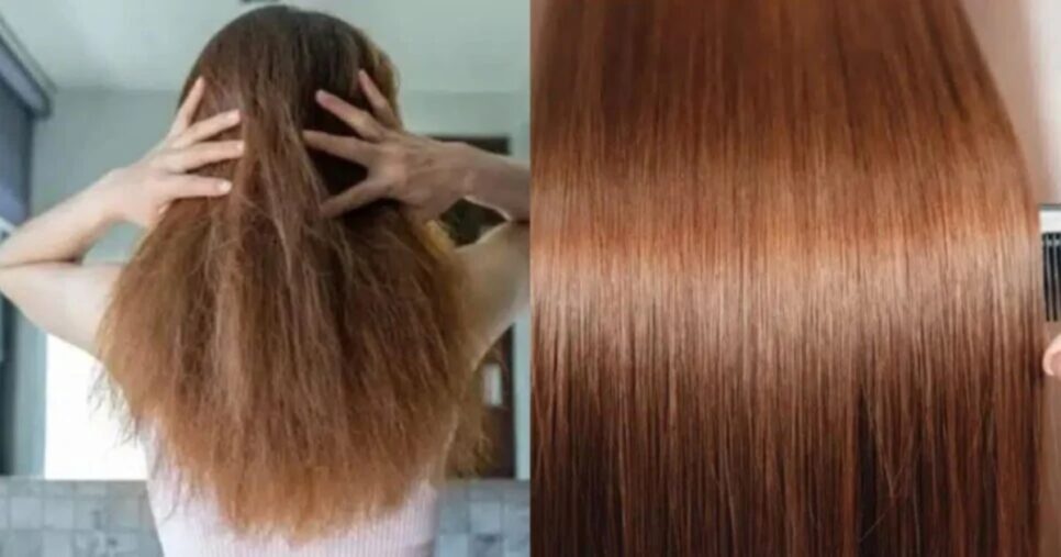 Receita caseira com 4 ingredientes alisa o cabelo e deixa brilhoso (Foto: Montagem/TV Foco)